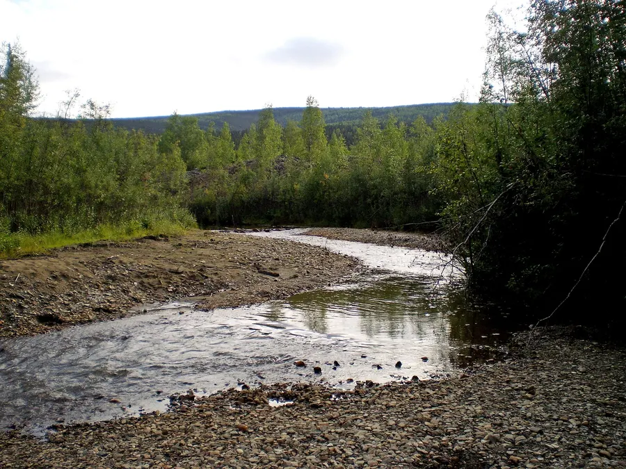 The Discovery Claim on Bonanza Creek in the Yukon, where gold was found in August 1896, photographed in 2009