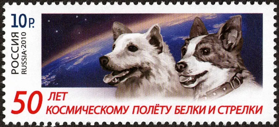 Belka and Strelka on a Russian stamp issued in 2010 for the 50th anniversary of their flight