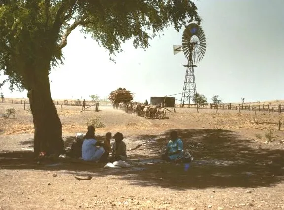 A donkey team at Wave Hill station in the Northern Territory, about 1946, photographed by Axel Poignant