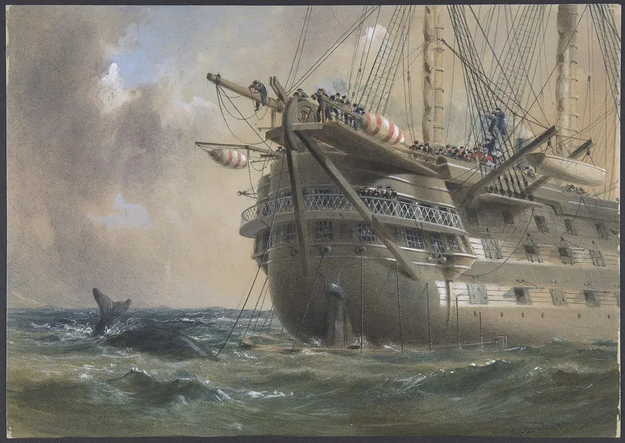 HMS Agamemnon laying the Atlantic telegraph cable in 1858, with a whale crossing the line, painted by Robert Charles Dudley