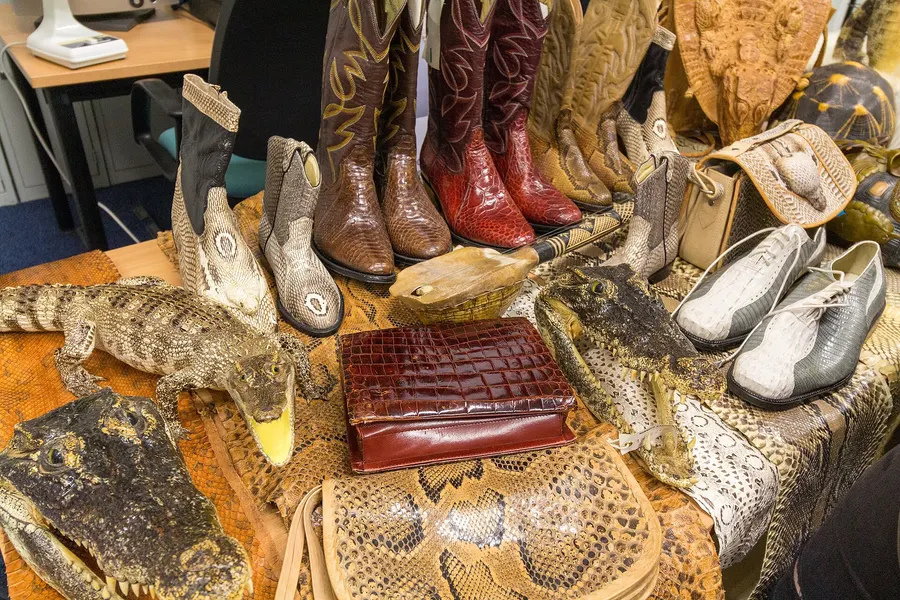 Goods made from protected species, seized by British customs officers, on display in London.