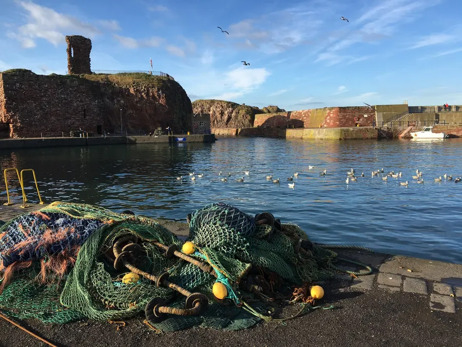 The ruins of Dunbar Castle above the harbour at Dunbar, East Lothian.