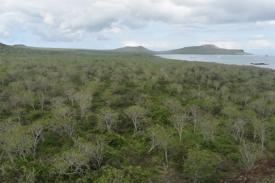 Post Office Bay on Floreana Island, seen from the Baroness's Lookout, in April 2026.
