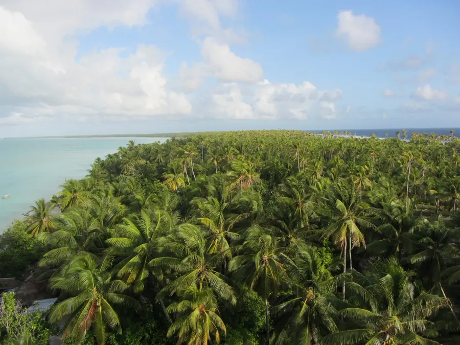 Palm trees and lagoon on Abaiang, an atoll of the Gilbert Islands in Kiribati, seen from a church spire