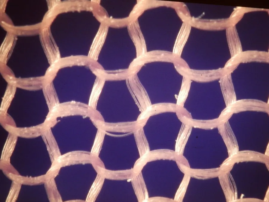 A close-up of a nylon stocking