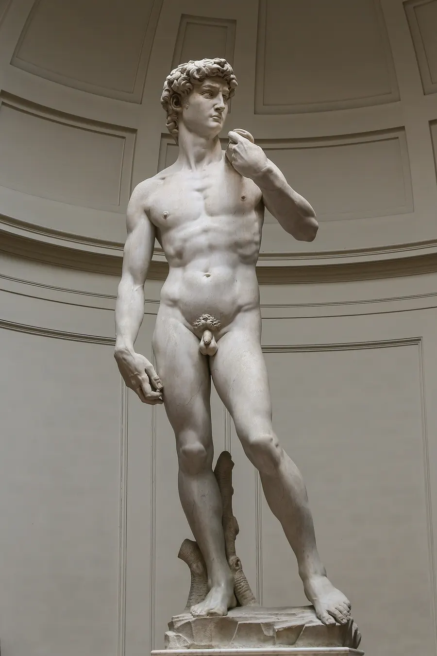 Michelangelo's David, carved between 1501 and 1504, in the Galleria dell'Accademia in Florence