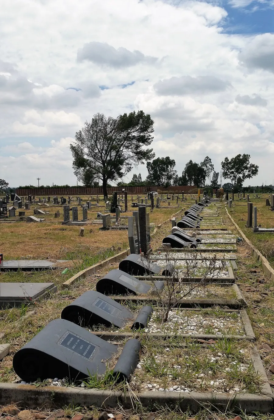 The row of graves of the 69 people killed at Sharpeville, Phelindaba Cemetery, 2017.
