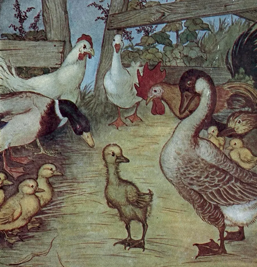 The Ugly Duckling, illustrated by Milo Winter for an American edition of Andersen's fairy tales, 1916.